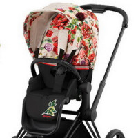 Cybex Priam Seat - прогулочный блок для Cybex Priam - Spring Blossom / Light
