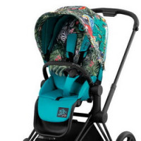 Cybex Priam Seat - прогулочный блок для Cybex Priam - We The Best