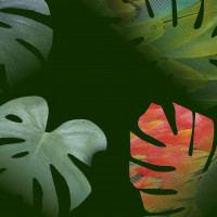 Cybex Priam Bag Birds of Paradise - сумка для Cybex Priam - Birds of Paradise