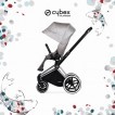 Cybex Priam Lux Seat, Koi - прогулочный блок - дополнительное фото 1