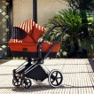 Cybex Priam Lux 2-в-1 - дополнительное фото 25