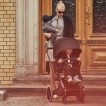 Cybex Priam Lux 2-в-1 - дополнительное фото 17