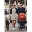Cybex Priam Lux 3-в-1 - дополнительное фото 18